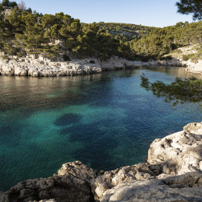 Visit the first 3 calanques by boat from Cassis