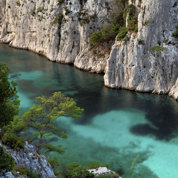 Visit the first 3 calanques by boat from Cassis