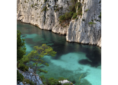 Visit the first 3 calanques by boat from Cassis