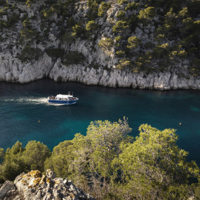 Visit the first 5 calanques by boat from the port of Cassis