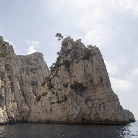 Visit the first 5 calanques by boat from the port of Cassis