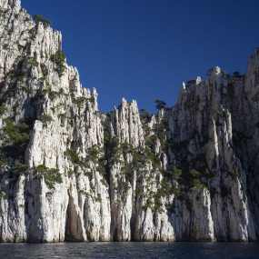 Visit the first 5 calanques by boat from the port of Cassis