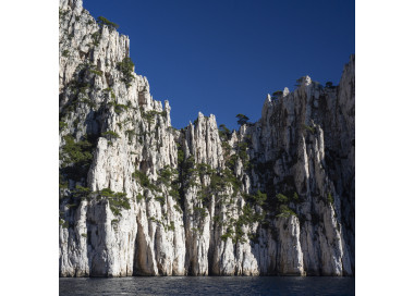 Visit the first 5 calanques by boat from the port of Cassis