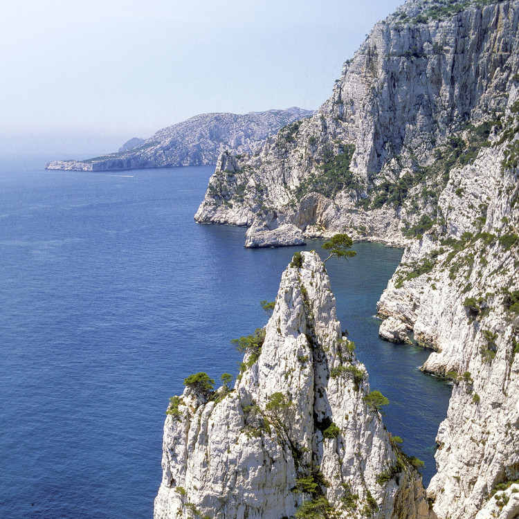 Guided boat tour from the Cassis harbor of 8 Calanques